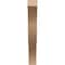 Ekena Millwork 3-inch W x 16-inch D x 22-inch H Funston Rough Cedar Woodgrain TimberThane Knee Brace, Primed BRCUR03X16X22FSTRCPR - alternate 5